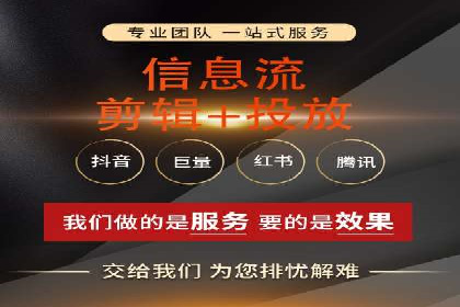 百度广告投放策略与效果评估案例